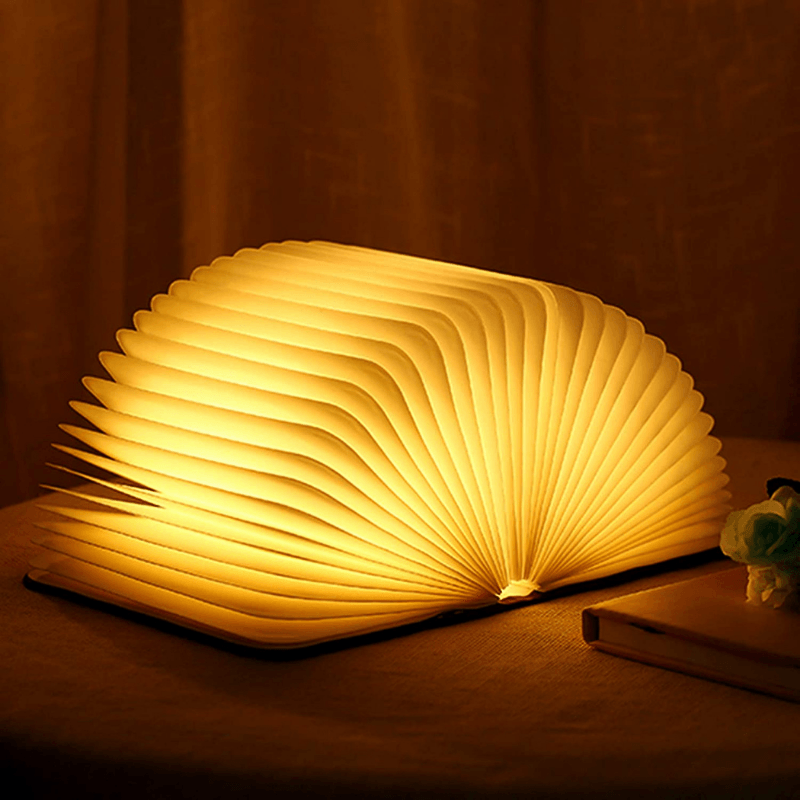 Lampe Livre Lumineux pliable à 360° - Opale